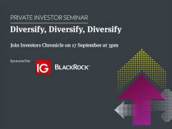 Diversify, diversify, diversify 17 September 2020